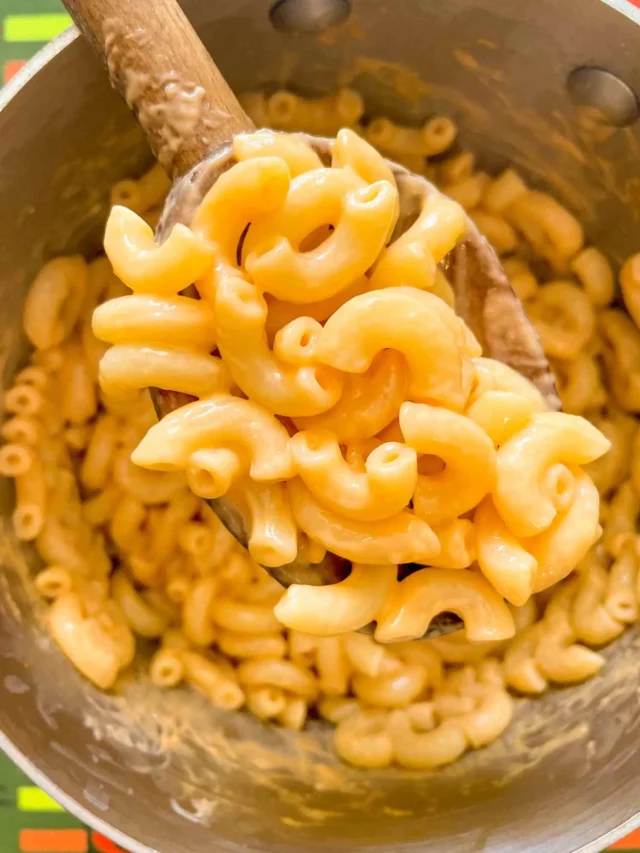 HOMEMADE MACARONI AND CHEESE MIX RECIPE